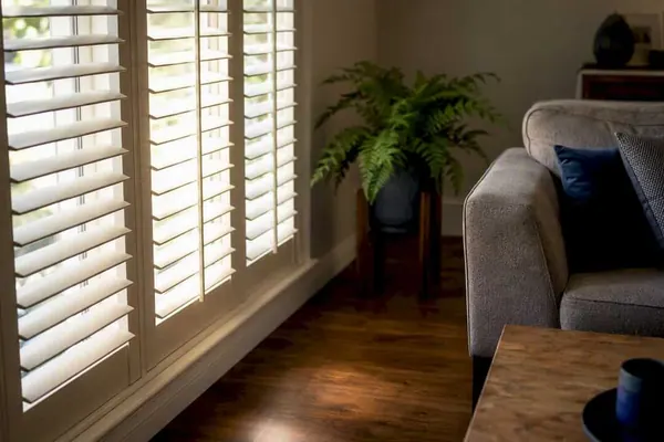 Shutter trends for 2025